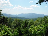 Tennessee Hunting Land for Sale and Land for Lease in Tennessee