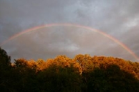 Maryland Hunting Land for Sale and Land for Lease in Maryland