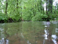 New Jersey Hunting Land for Sale and Land for Lease in New Jersey