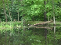 Ohio Hunting Land for Sale and Land for Lease in Ohio